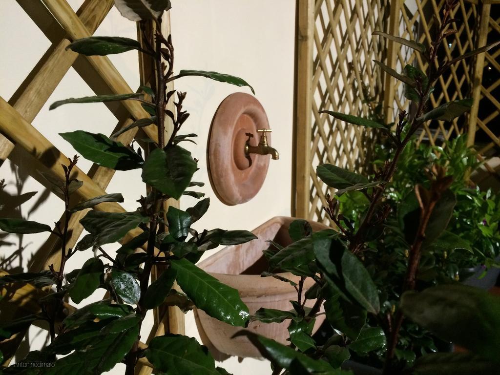 مبيت وإفطار سورينتو Il Giardino Segreto المظهر الخارجي الصورة
