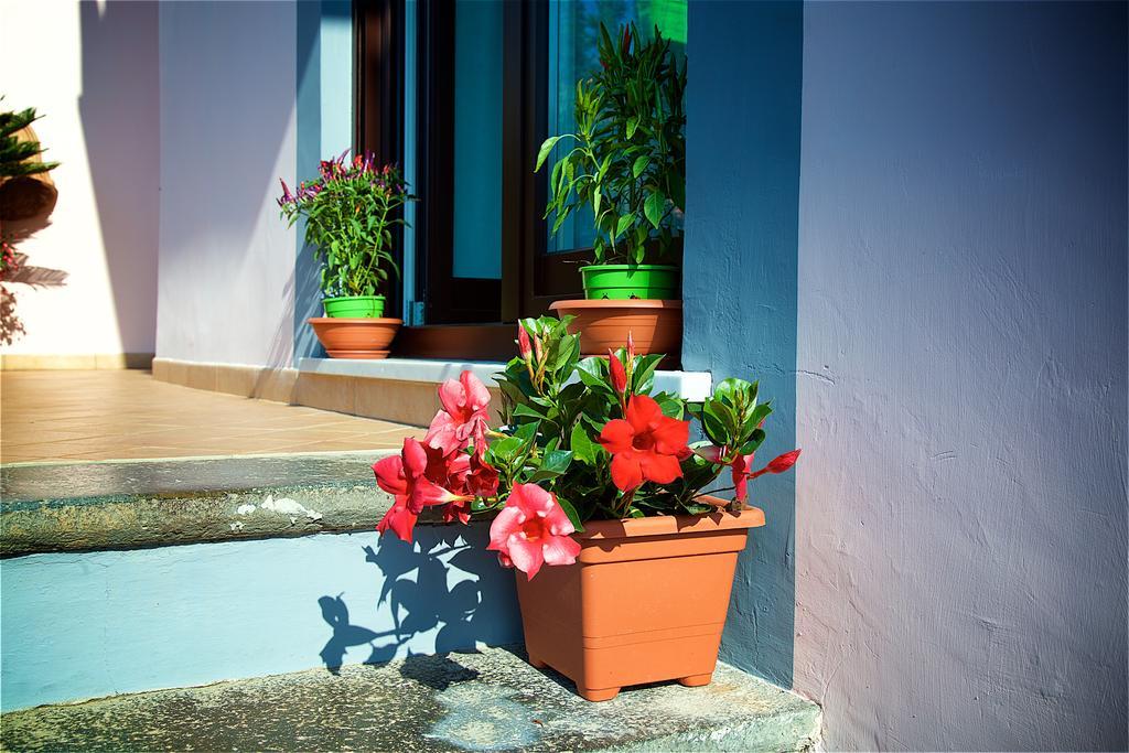 مبيت وإفطار سورينتو Il Giardino Segreto المظهر الخارجي الصورة
