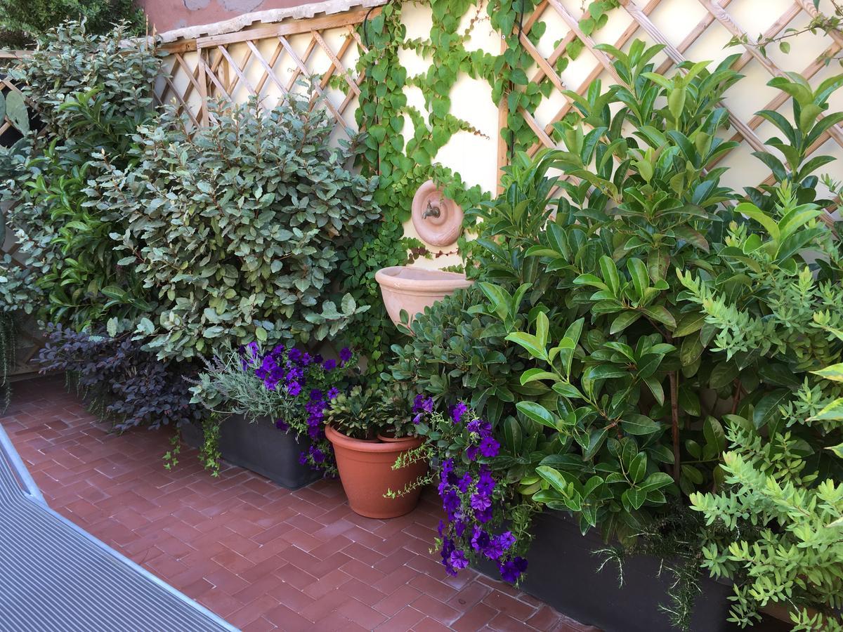 مبيت وإفطار سورينتو Il Giardino Segreto المظهر الخارجي الصورة